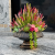Photoroom_20260712_101946.png