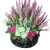 Photoroom_20260725_185917.PNG