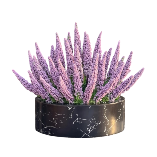 Photoroom_20260725_185959 (1).PNG