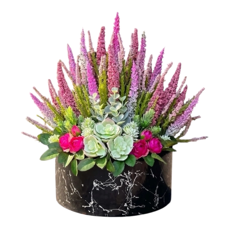 Photoroom_20260725_195334.PNG