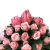 Photoroom_20260730_130245.PNG