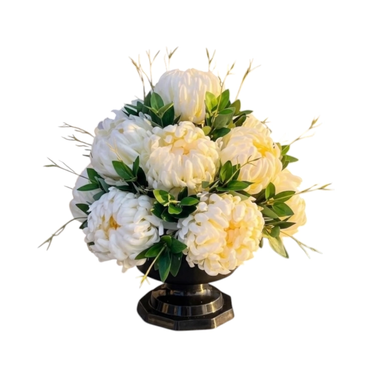 Photoroom_20260801_071100.png