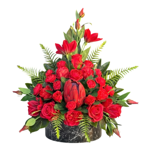 Photoroom_20260802_115650.PNG