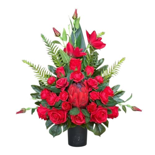Photoroom_20260802_130718 (1).PNG