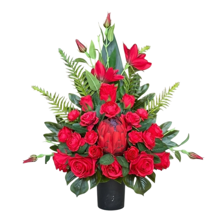 Photoroom_20260802_130718 (1).PNG