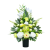 Photoroom_20260802_130518 (1).PNG