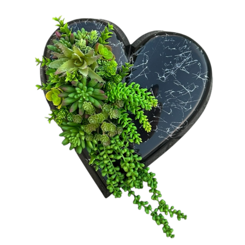 Photoroom_20260803_163923.PNG
