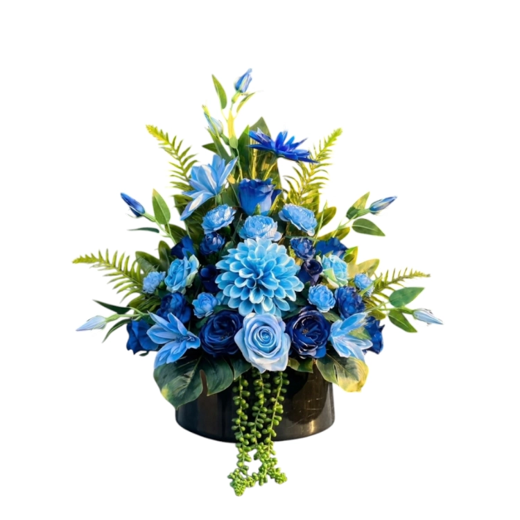 Photoroom_20260731_220040.png