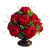 Photoroom_20260805_152040.PNG