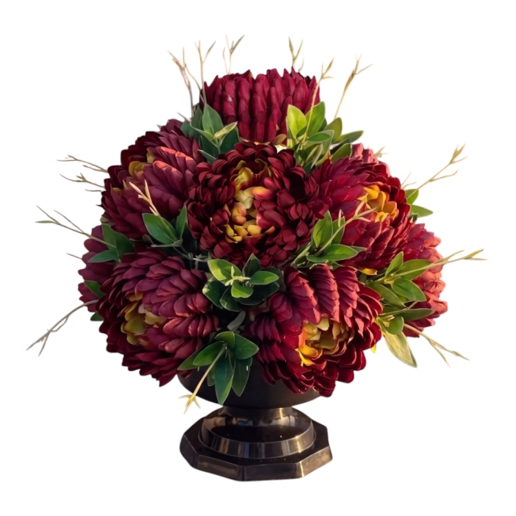 Photoroom_20260805_150652.PNG
