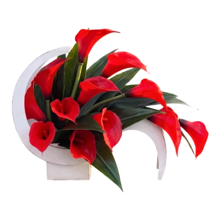 Photoroom_20260805_154501.PNG