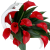 Photoroom_20260805_154524.PNG