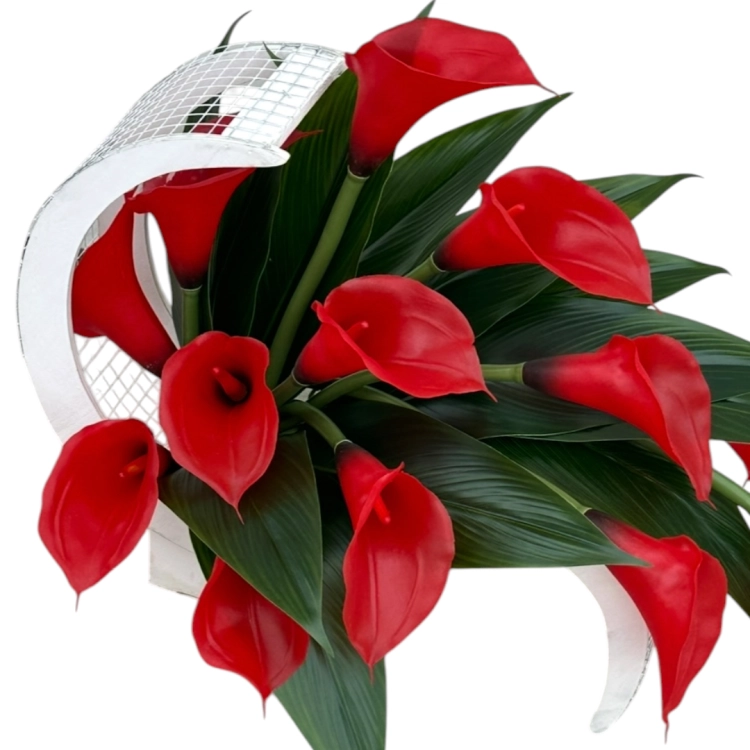 Photoroom_20260805_154524.PNG