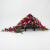 Photoroom_20260806_093702.PNG