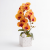 Photoroom_20260808_121959.PNG