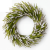 Photoroom_20260808_133412.PNG