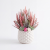 Photoroom_20260809_192640.PNG