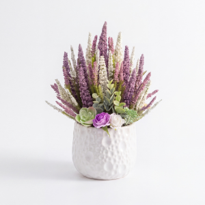 Photoroom_20260809_192621.PNG