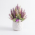 Photoroom_20260809_192621.PNG