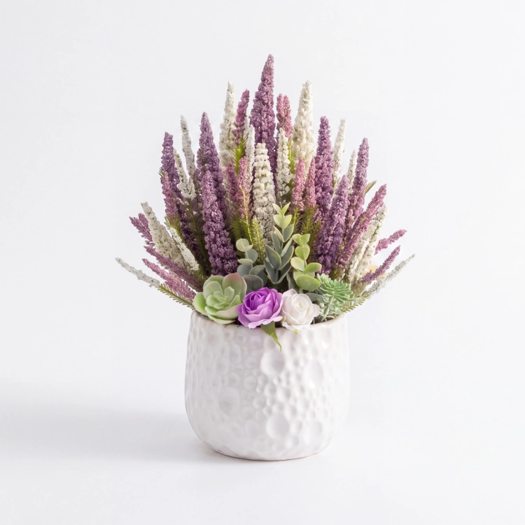 Photoroom_20260809_192621.PNG