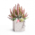 Photoroom_20260809_203723.PNG