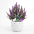 Photoroom_20260809_212107 (1).PNG