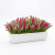 Photoroom_20260809_223732.PNG