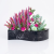 Photoroom_20260809_213057 (2).PNG