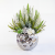 Photoroom_20260811_111003 (1).PNG