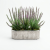 Photoroom_20260812_064659.PNG