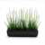 Photoroom_20260812_064724.PNG
