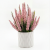 Photoroom_20260812_092105.PNG