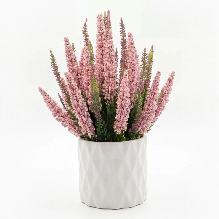 Photoroom_20260812_092105.PNG