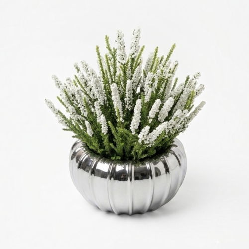 Photoroom_20260812_154517.jpg