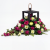 Photoroom_20260817_143002.PNG