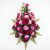 Photoroom_20260817_154429.PNG