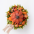Photoroom_20260818_155307.PNG