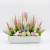 Photoroom_20260824_114559.png