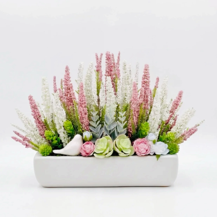 Photoroom_20260824_114559.png