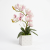 Photoroom_20260912_091144.PNG