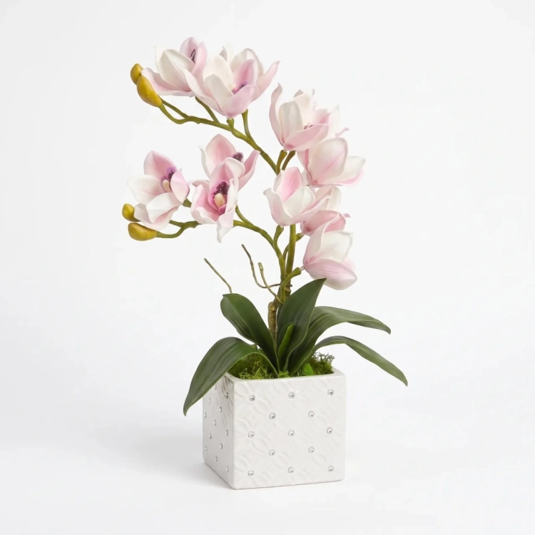 Photoroom_20260912_091144.PNG