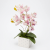 Photoroom_20260912_091125.PNG