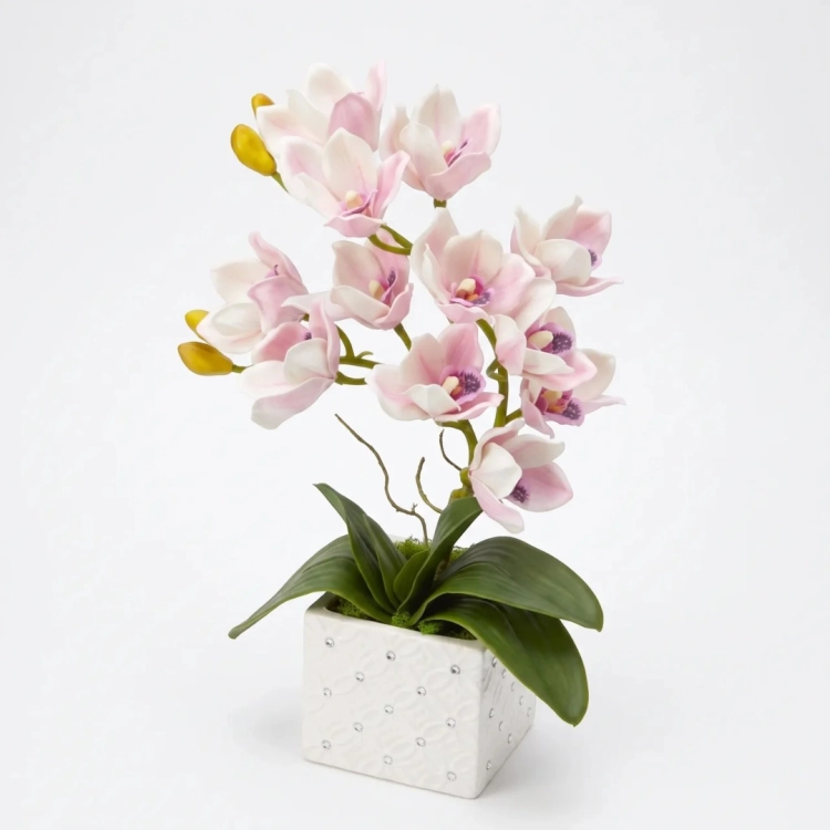 Photoroom_20260912_091125.PNG